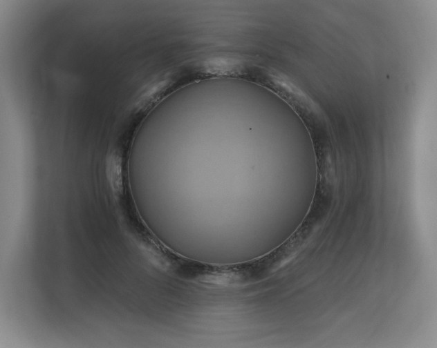 X0000111240696200907021411