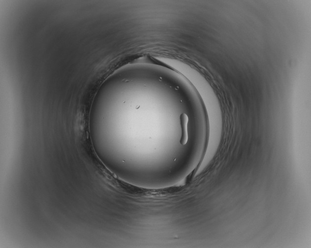 X0000111240701200907021411