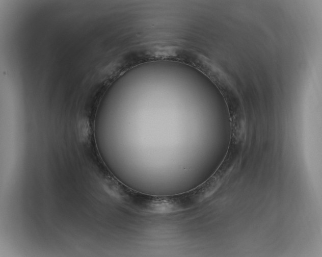X0000111240704200907021411