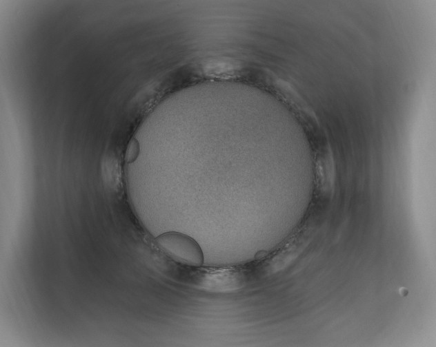 X0000111240705200907021411