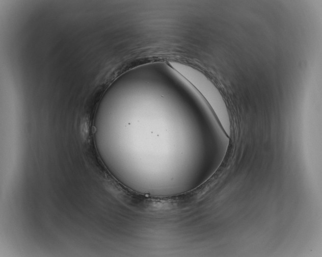 X0000111240709200907021411