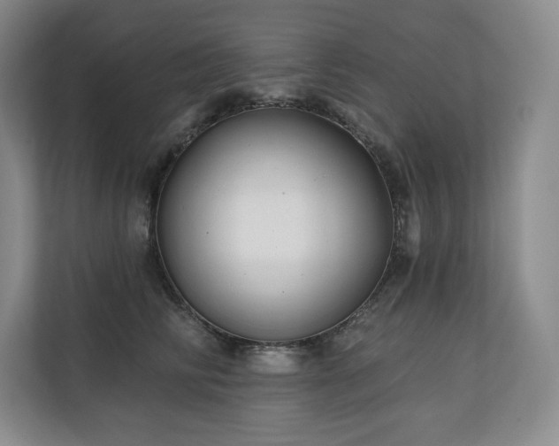 X0000111240710200907021411