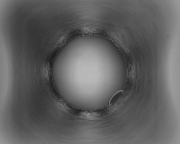 X0000111240712200907021411