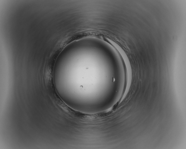 X0000111240713200907021411