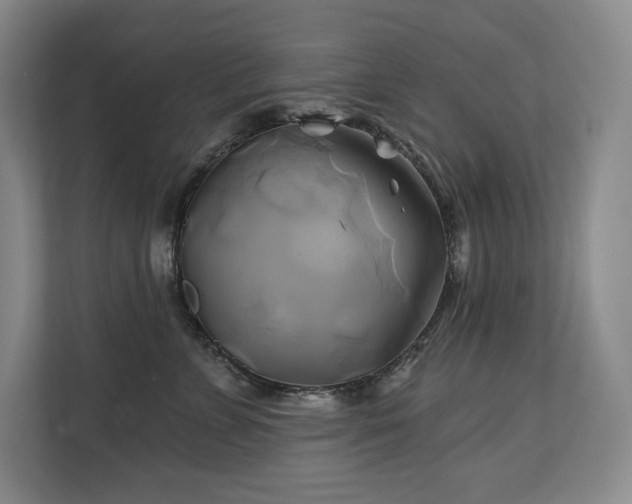 X0000111240715200907021411