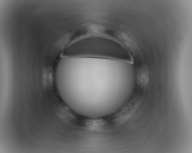 X0000111240716200907021411