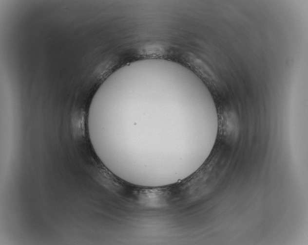 X0000111240717200907021411