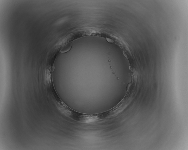 X0000111240719200907021411