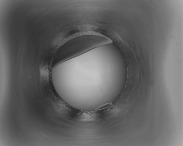 X0000111240720200907021411