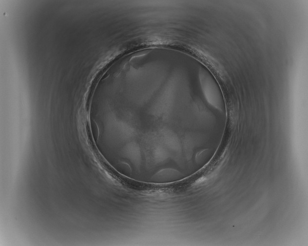 X0000111240721200907021410