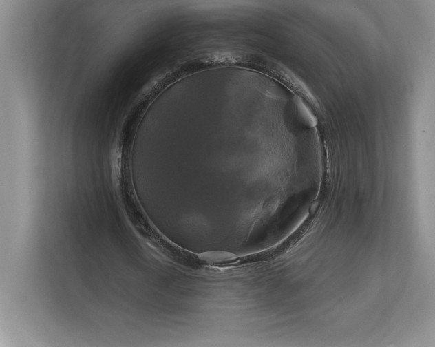 X0000111240722200907021410