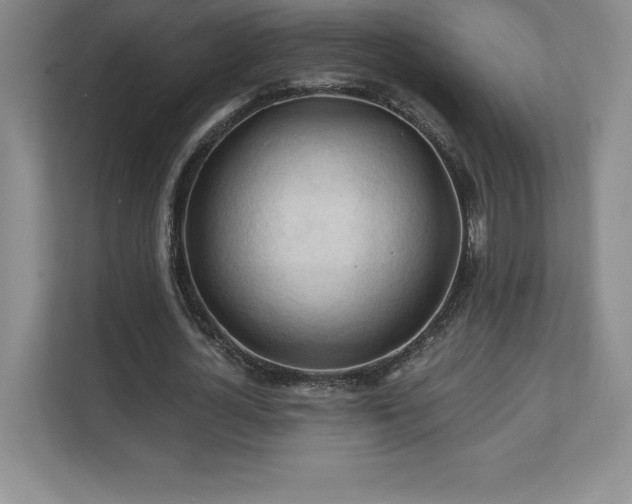 X0000111240724200907021410