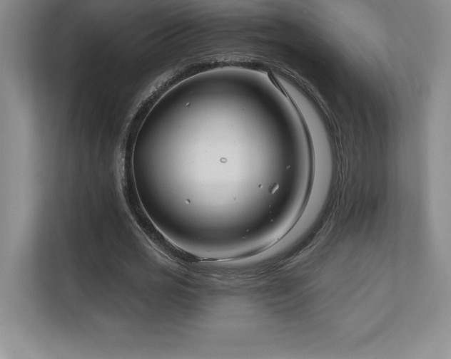 X0000111240725200907021410