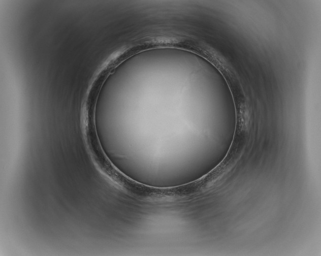 X0000111240726200907021410