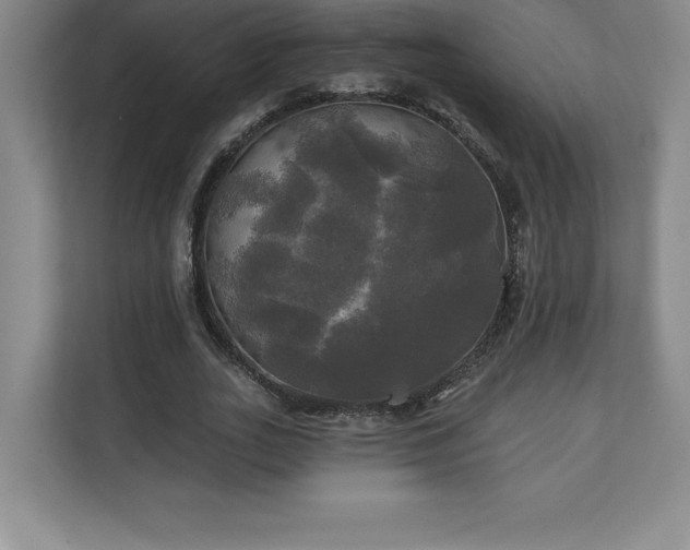 X0000111240727200907021410