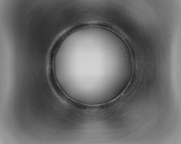 X0000111240728200907021410
