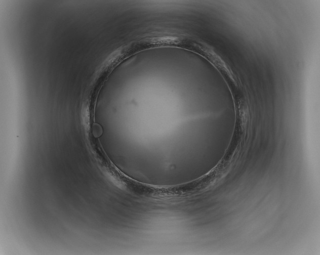 X0000111240729200907021410