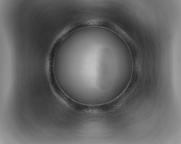 X0000111240730200907021410