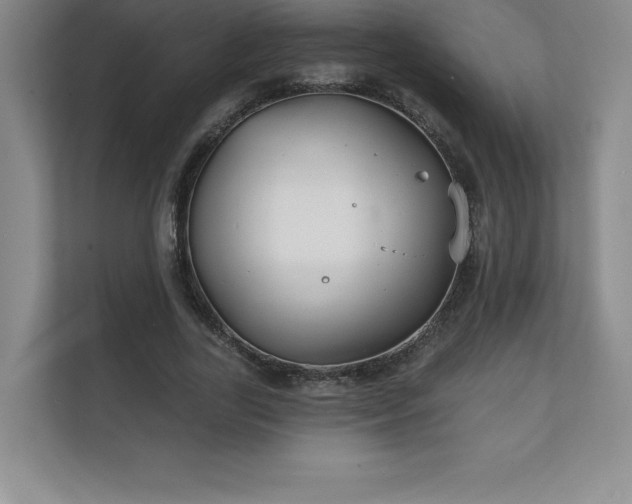 X0000111240731200907021410