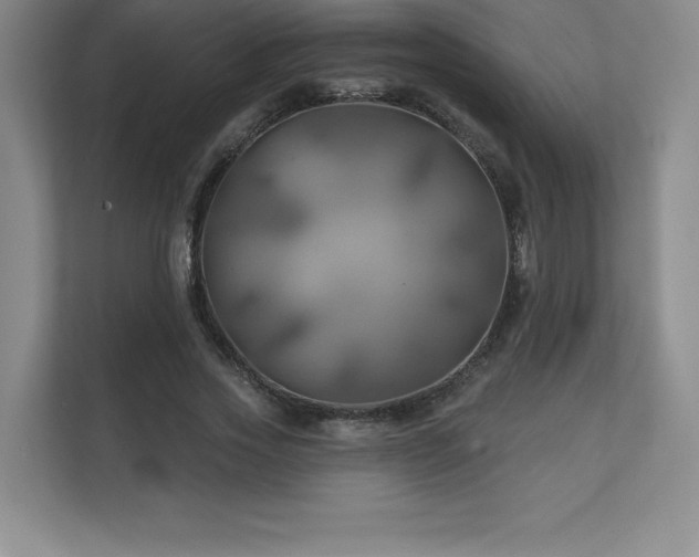 X0000111240733200907021410