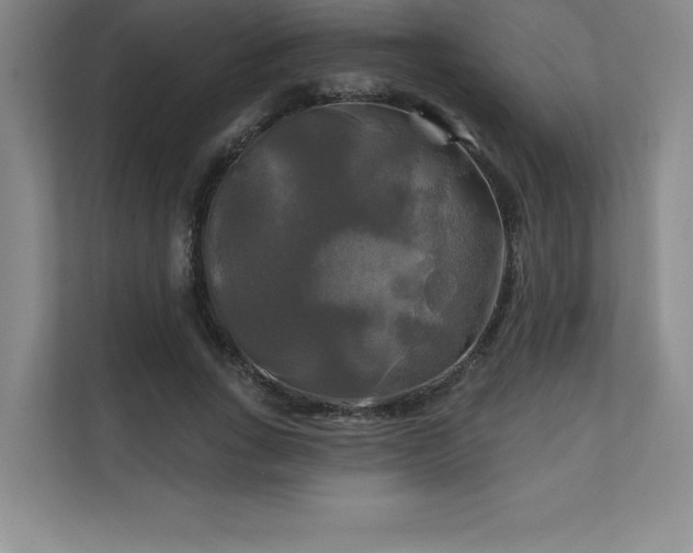 X0000111240735200907021410