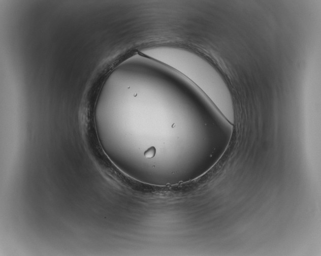 X0000111240736200907021411