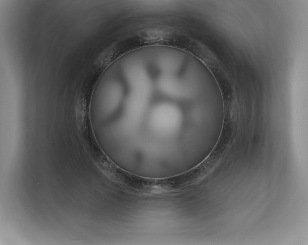 X0000111240737200907021411