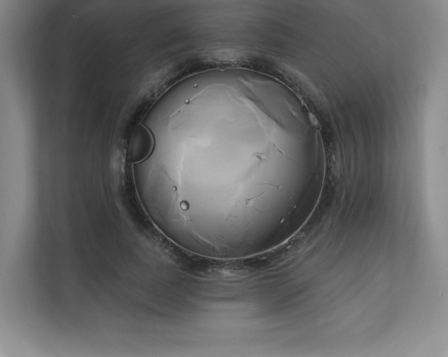 X0000111240739200907021411