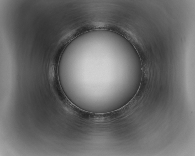 X0000111240740200907021411