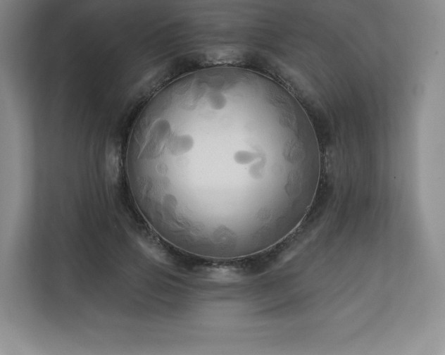 X0000111240741200907021411