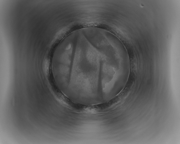X0000111240742200907021411