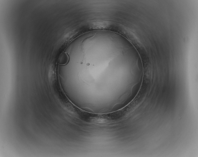 X0000111240743200907021411
