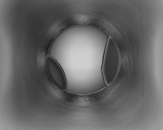 X0000111240744200907021411