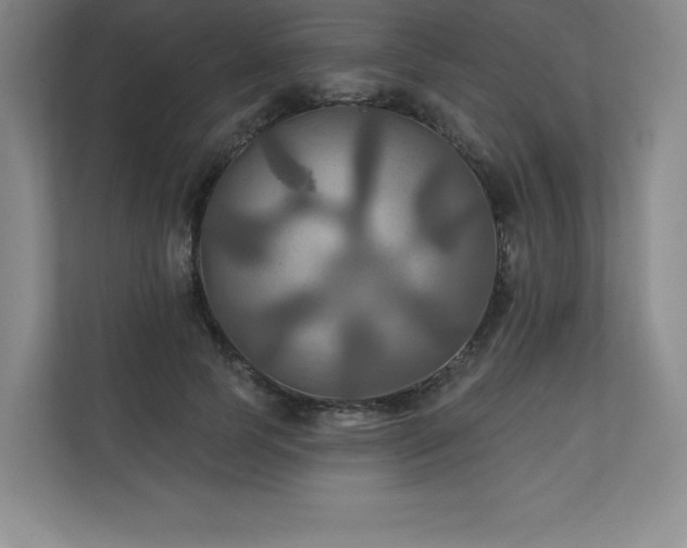 X0000111240745200907021411