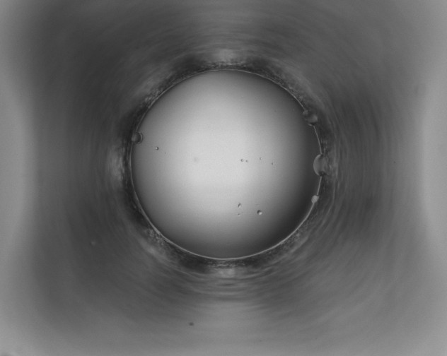 X0000111240746200907021411