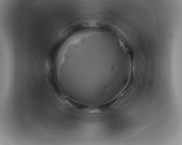 X0000111240747200907021411
