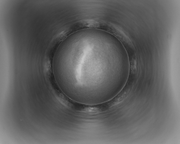 X0000111240748200907021411