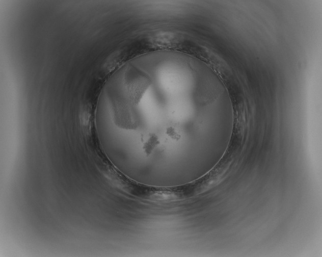 X0000111240749200907021411