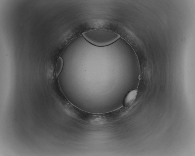 X0000111240750200907021411