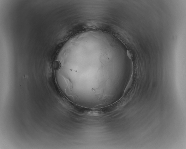 X0000111240751200907021411