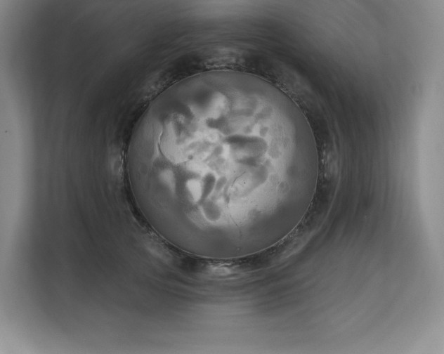X0000111240753200907021411