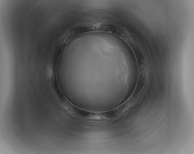 X0000111240754200907021411