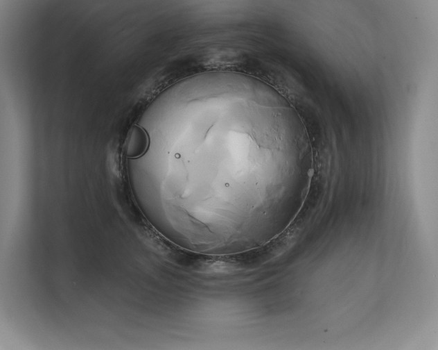 X0000111240755200907021411