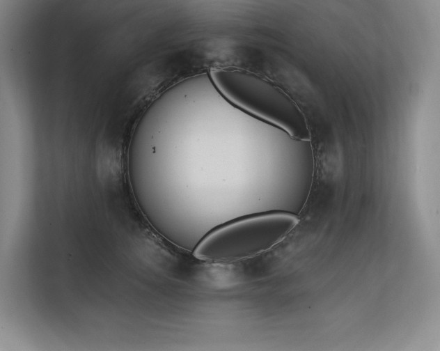 X0000111240756200907021411