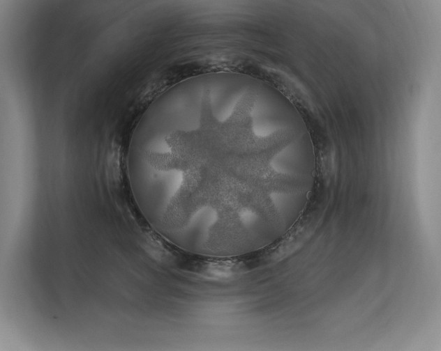 X0000111240757200907021411