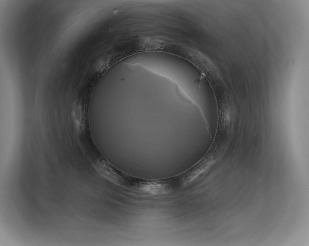 X0000111240759200907021411
