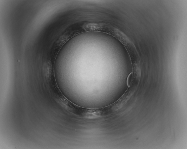 X0000111240760200907021411