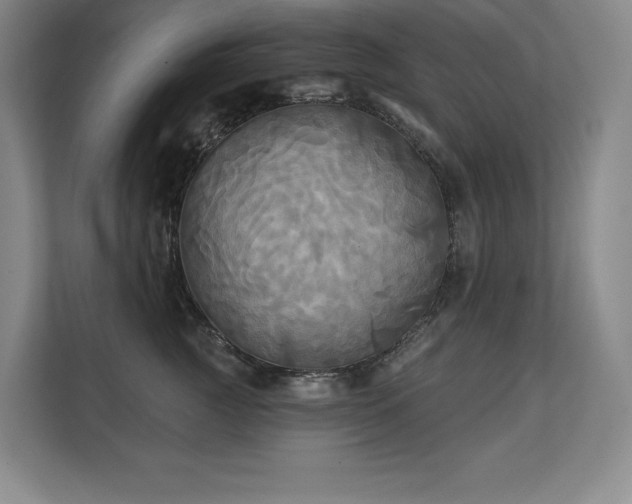 X0000111240761200907021411