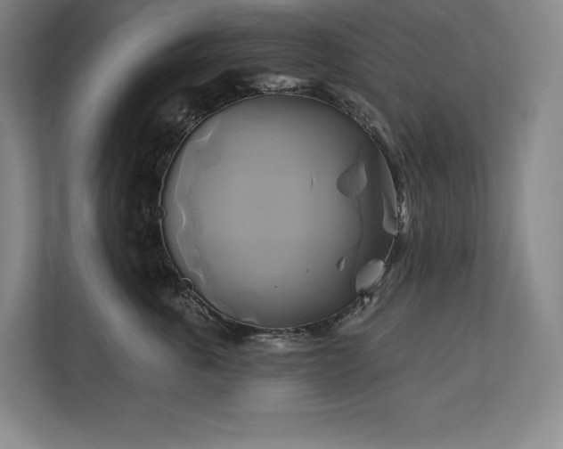X0000111240763200907021411
