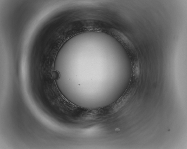 X0000111240764200907021411